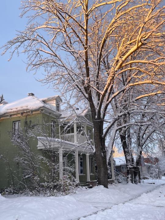 Rosalie Bourgeois-boucher