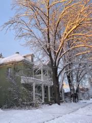 Rosalie Bourgeois-boucher