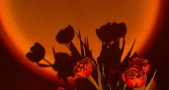 Mind body & soul guide ♥