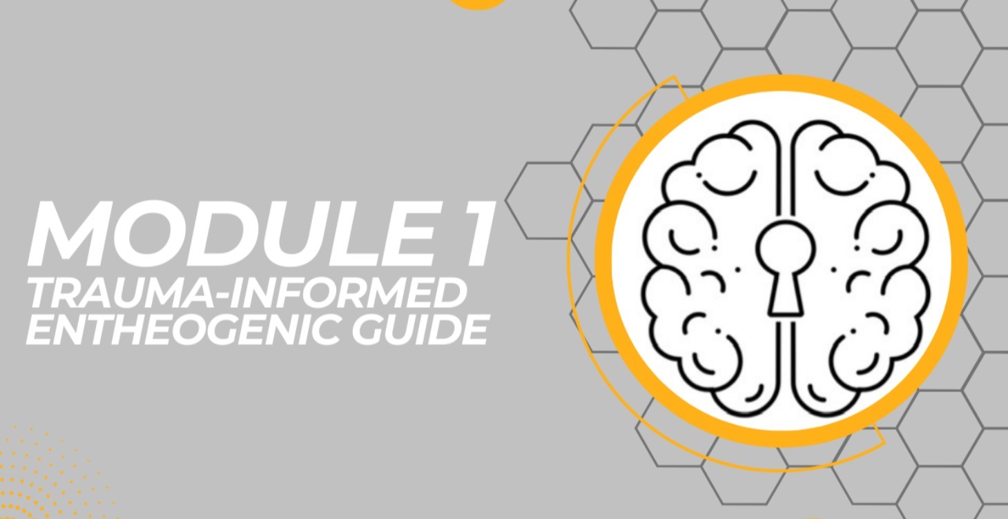 Trauma-Informed Entheogenic Guide