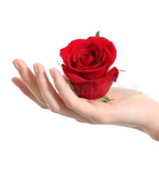 Peggi Palomino Medina