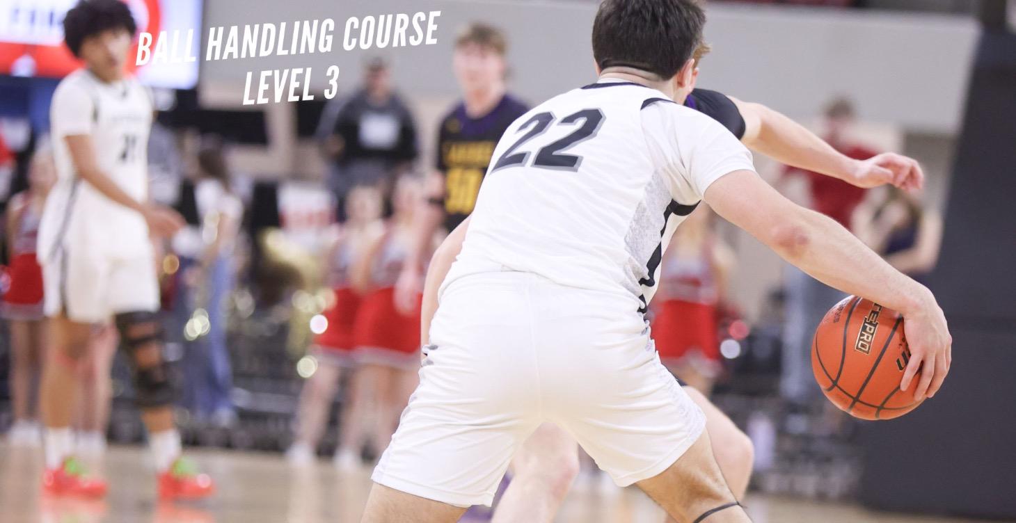 Ball Handling Course- Level 3
