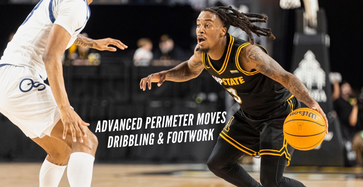 Advanced Perimeter Moves, Dribbling & Finishing