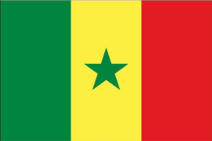 Amadou Sall