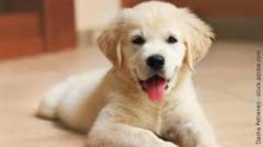 Christopher Langfinger