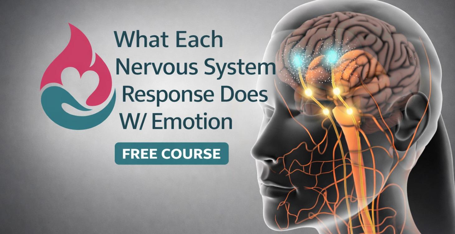 What Each Nervous System Response Does W/ Emotion