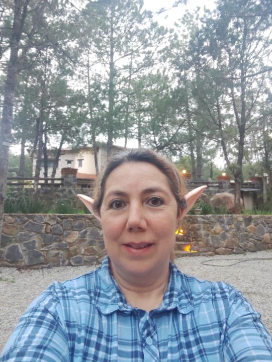 Mary Carmen Santiago