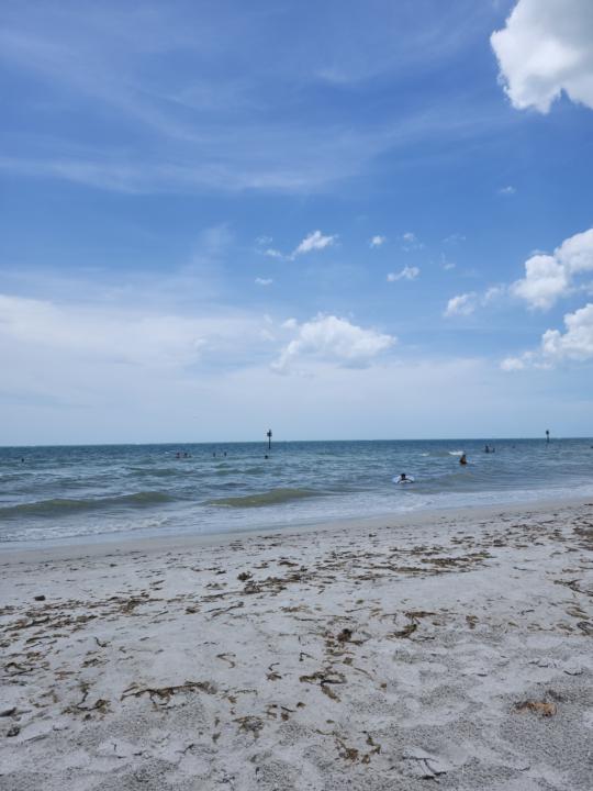 Beach Day