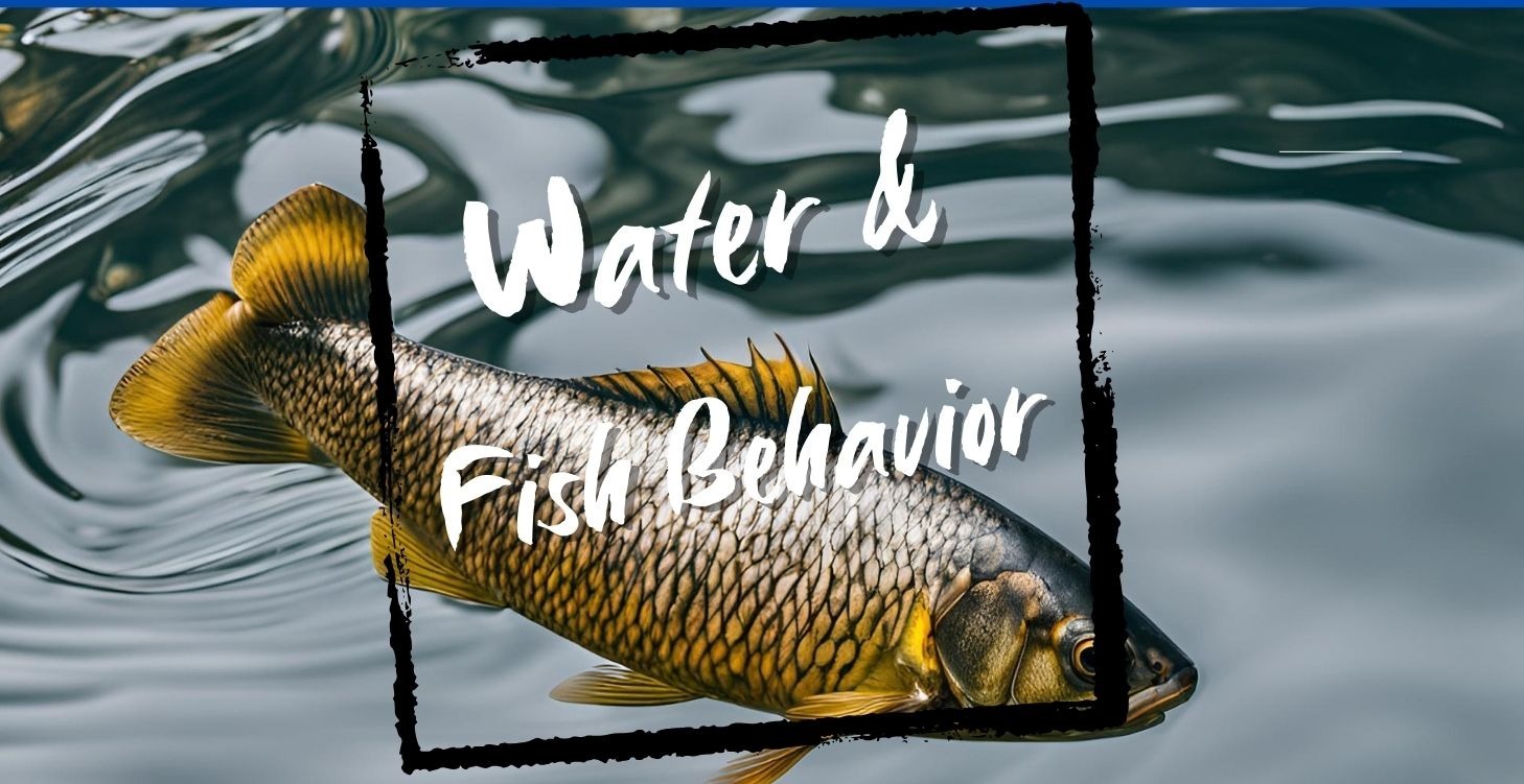 Study Water and Fish Behavior