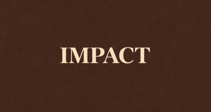 Impact Lab