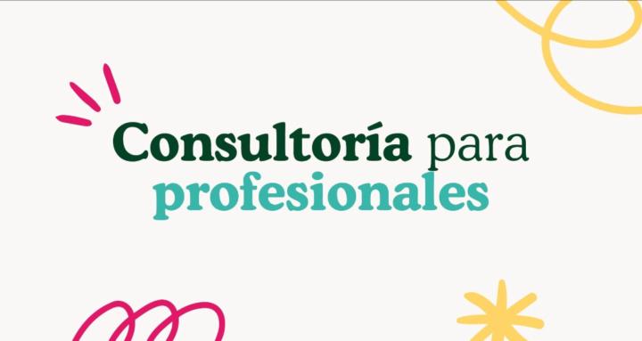 Consultoria para profesionales