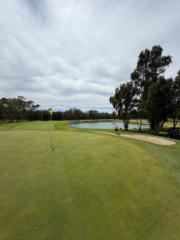 Harrison Papadopoulos