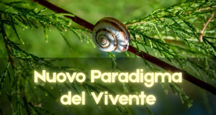 Nuovo Paradigma del Vivente