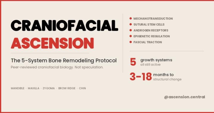 Craniofacial Ascension
