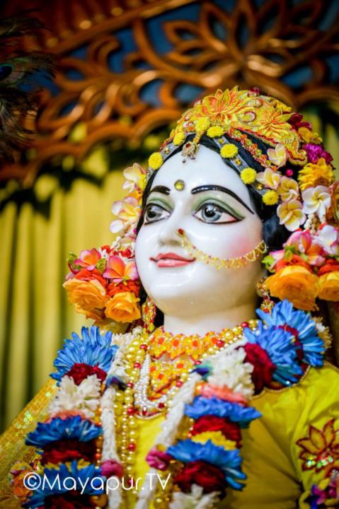 Sambhav Jain