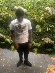 Eli Alston