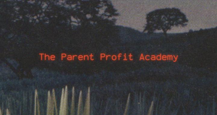 The Parent Profit Academy
