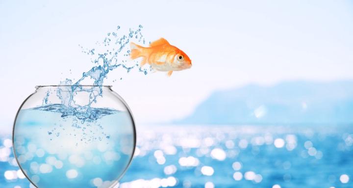 Life After Bariatric Surgery 