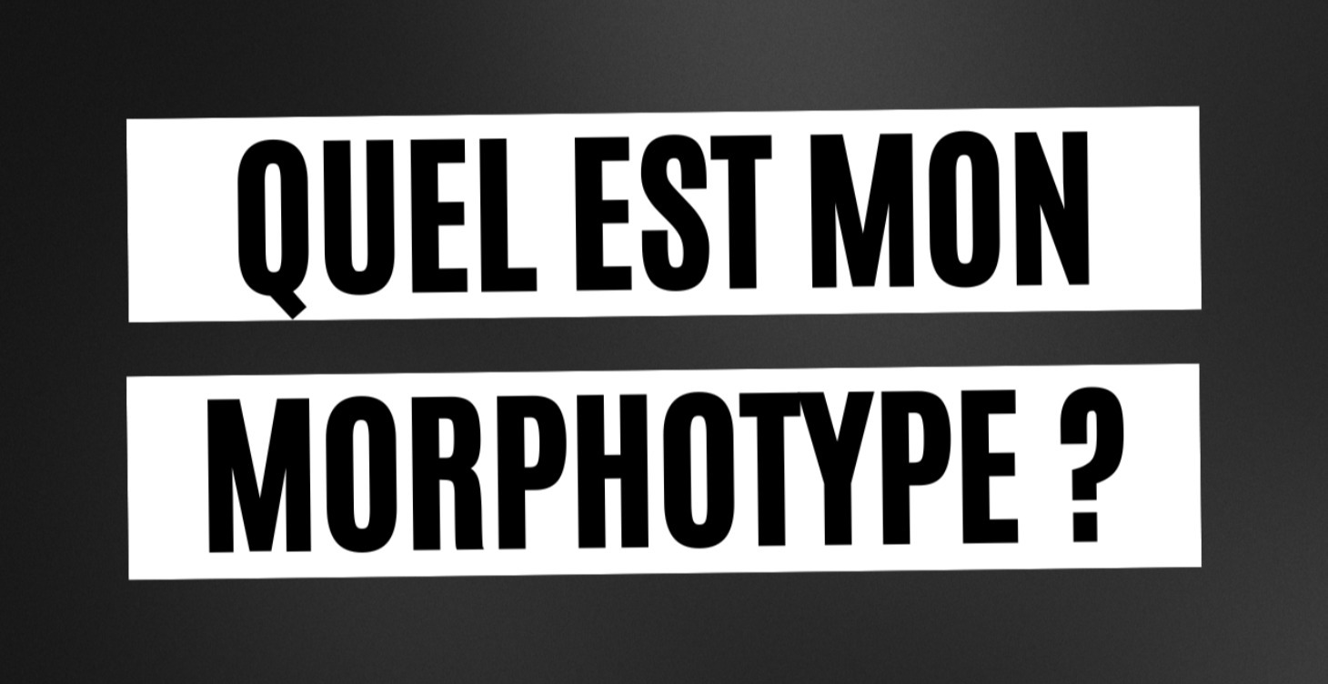 03 - Morphotype