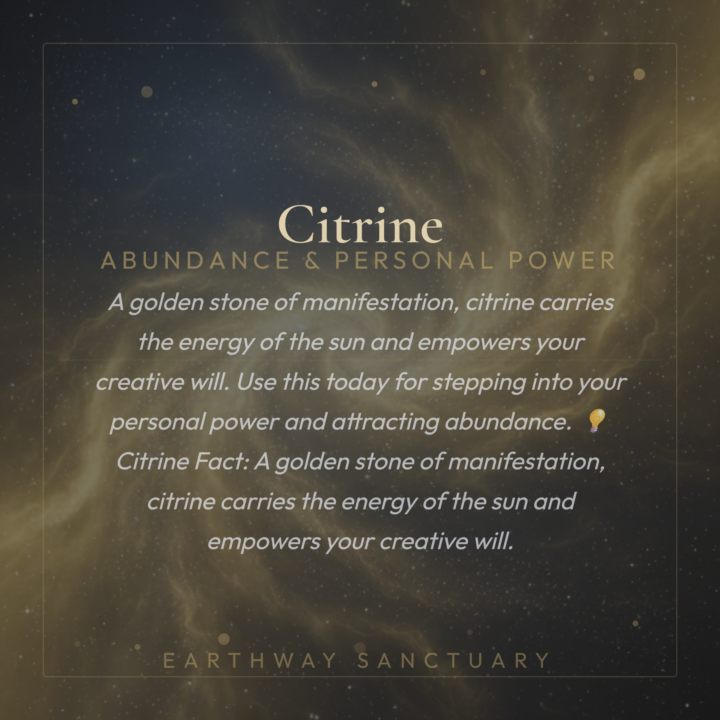 I'm giving away my Monthly Wisdom Module for free — but not for long.