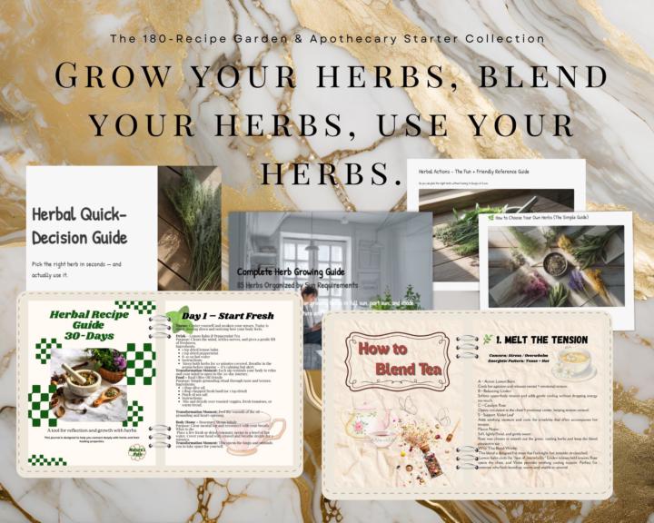 BLACK FRIDAY AND I HAVE SOMETHING FOR YOU!