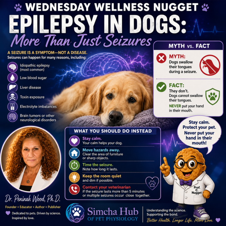 Wednesday Wellness Nugget: Epilepsy in Dogs