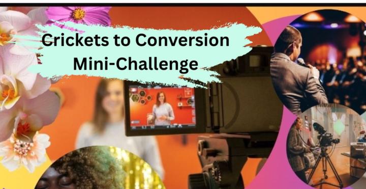 Crickets to Conversion Mini-Challenge 