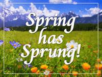 Spring Reset Roll Call 🌷