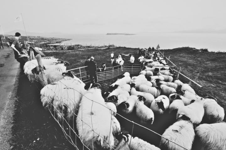 Authentic Irish Experiences  & Holidays
