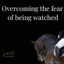 Free - For Horse Riders!