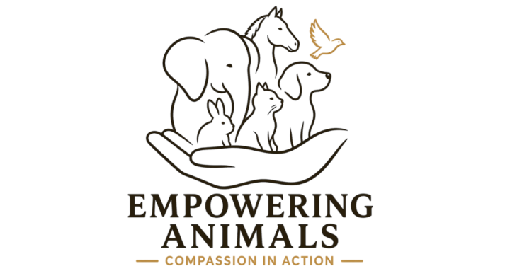 👉 Want to help animals? Start here