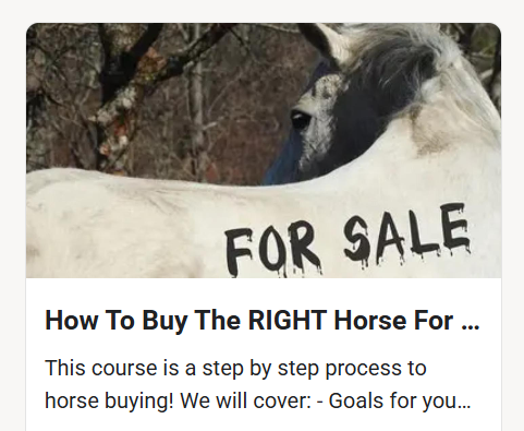 Looking to Buy a Horse?