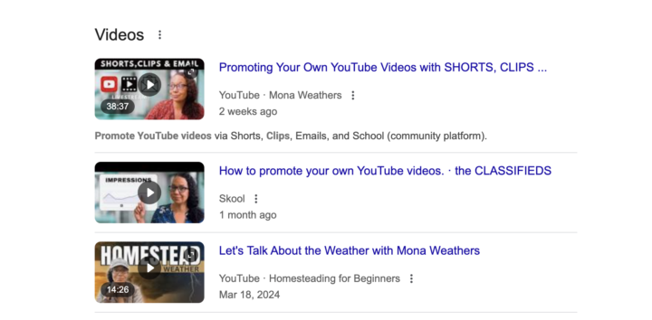 Are Your Posts SEO Worthy? We Don't Just Post in the Classifieds for Skool Traffic