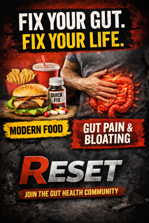 Your Gut Isn’t Broken. Your Lifestyle Is.