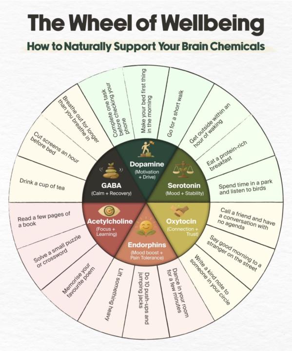 The Wheel of Wellbeing 