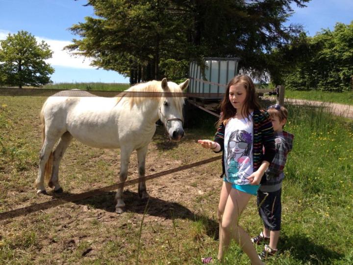 When is horse manure a smell you never forget? (And remember fondly)