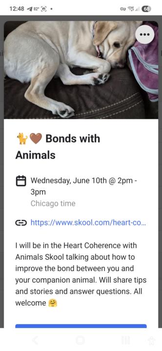 🐈🐕‍🦺🤎 Would you like to increase your bond with your animal companion?