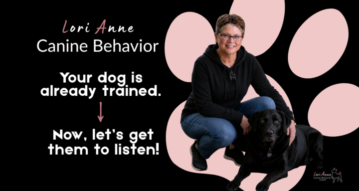 What's your dog's favorite command to ignore?