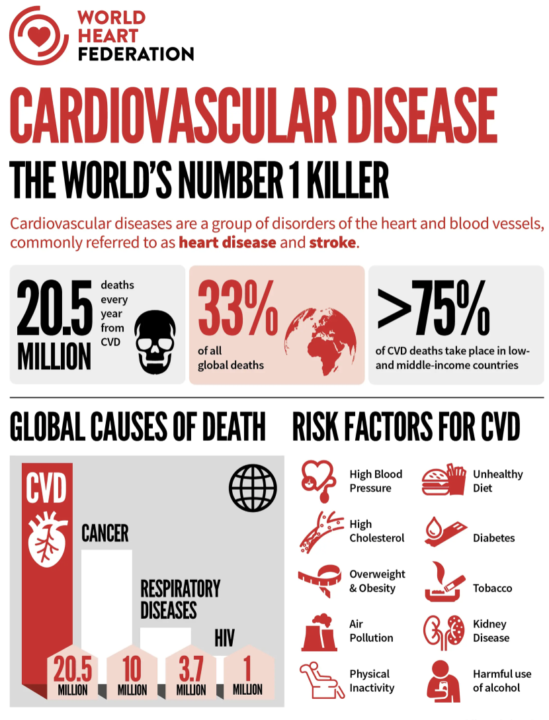 ❤️ Cardiovascular Disease: The World’s #1 Killer