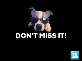 BLAST - Don't Miss This - FREE Learning in One Hour 12/15/25!!