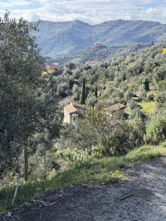 🍷 Be Taken Care Of (Luxury, ease, curated experience)