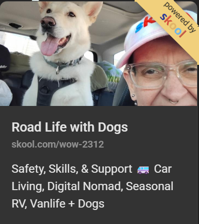 🚙 Living on the road with dogs? 🐕