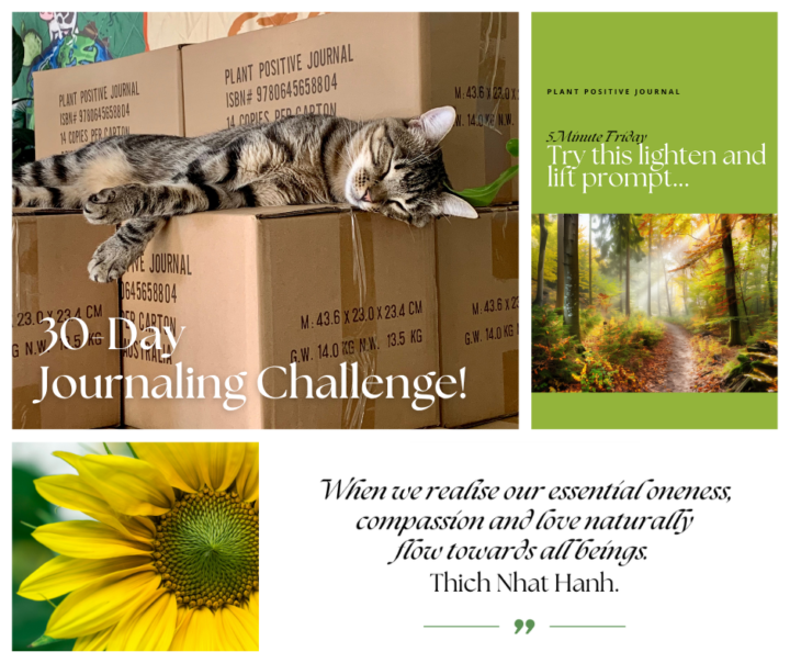 📗✏️ Free 30-Day Journaling Challenge Starts June 1st.