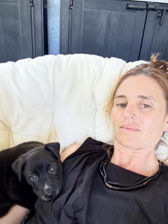 Oh My Dog & Why It Exists 