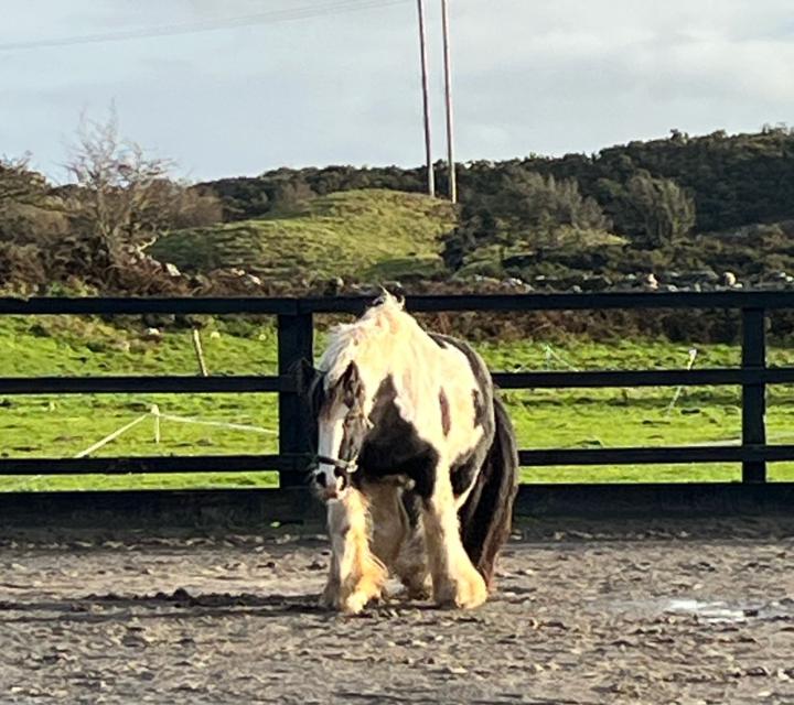 #WinWednesday - life changing 