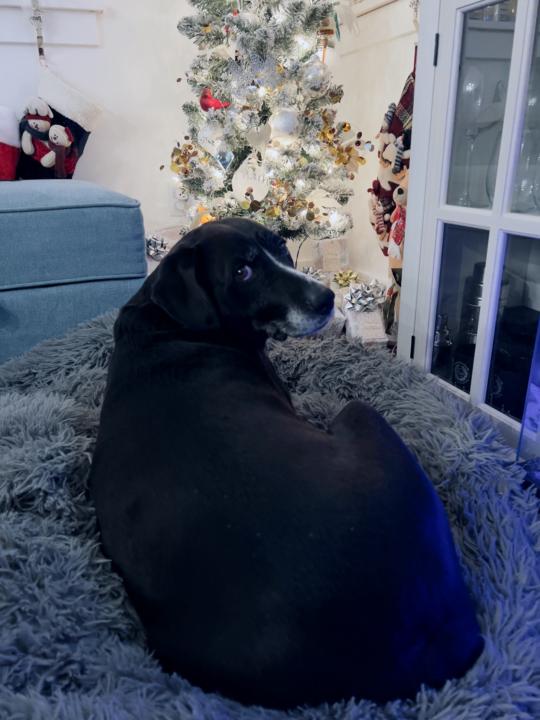 Summits sponsorships on Skool are so easy to set up. 