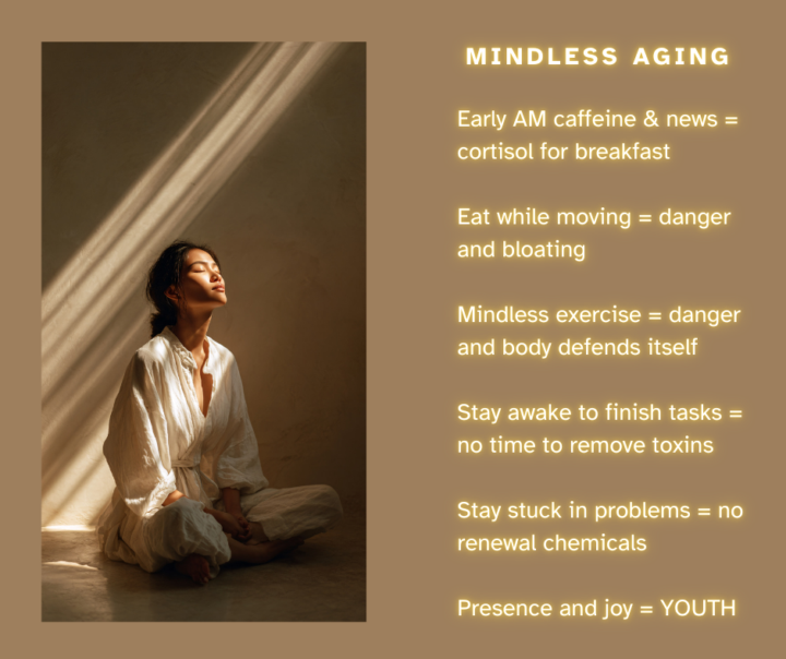 ⛲️ IS PRESENCE THE FOUNTAIN OF YOUTH? 🌿