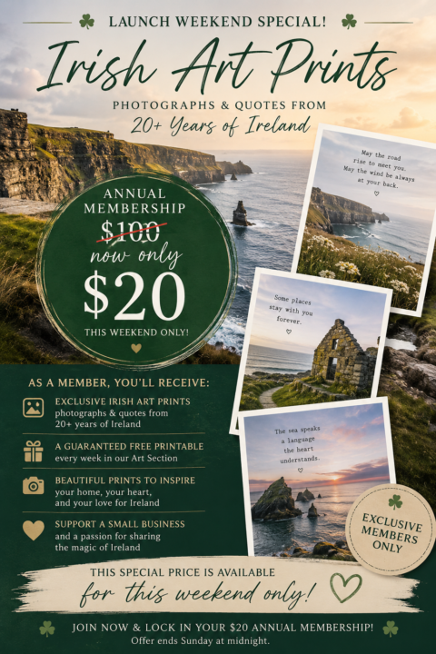 🍀 Weekend Launch Special