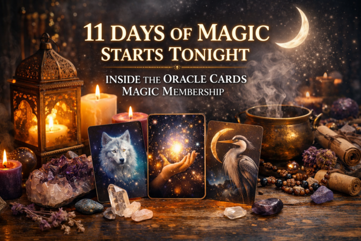 𝗕𝗘𝗙𝗢𝗥𝗘 𝗜 𝗧𝗘𝗟𝗟 𝗬𝗢𝗨 𝗔𝗕𝗢𝗨𝗧 𝗧𝗛𝗘 𝗧𝗜𝗠𝗘 𝗜 𝗪𝗔𝗦 𝗟𝗜𝗧𝗘𝗥𝗔𝗟𝗟𝗬 𝗔𝗧𝗧𝗔𝗖𝗞𝗘𝗗 𝗕𝗬 𝗔 𝗪𝗜𝗟𝗗 𝗕𝗟𝗔𝗖𝗞𝗕𝗘𝗥𝗥𝗬 𝗕𝗨𝗦𝗛…