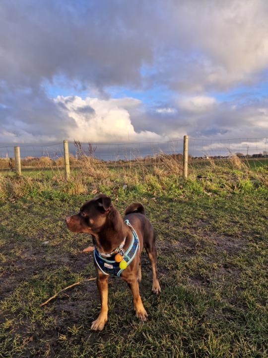 Late Afternoon Golden Hour